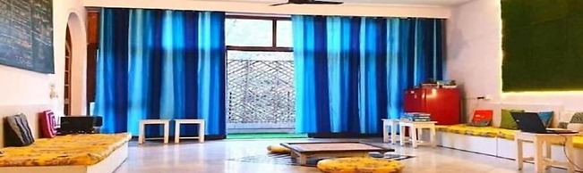 A sleepy Fox - Hostel