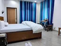 A sleepy Fox - Hostel