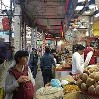 A sleepy Fox - Hostel