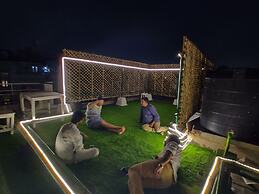 A sleepy Fox - Hostel