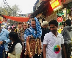 A sleepy Fox - Hostel