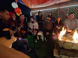 A sleepy Fox - Hostel