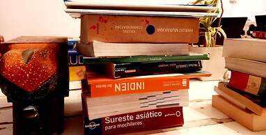 A sleepy Fox - Hostel