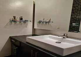 A sleepy Fox - Hostel