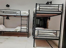 A sleepy Fox - Hostel