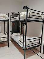 A sleepy Fox - Hostel