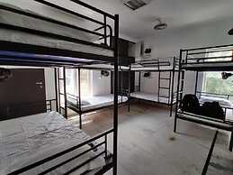 A sleepy Fox - Hostel