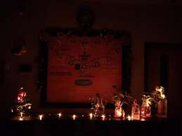 A sleepy Fox - Hostel