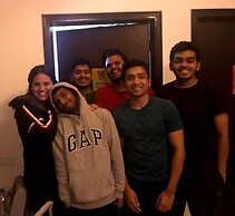 A sleepy Fox - Hostel