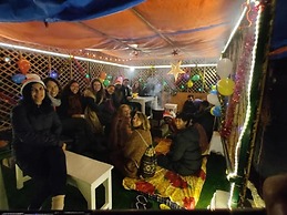 A sleepy Fox - Hostel