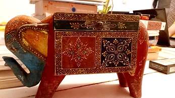 A sleepy Fox - Hostel