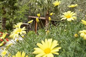 Olympos Mercan Bungalow