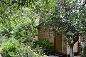 Olympos Mercan Bungalow