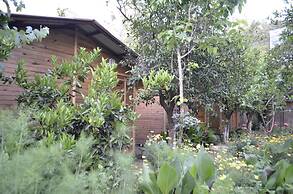 Olympos Mercan Bungalow