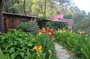 Olympos Mercan Bungalow