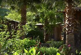 Olympos Mercan Bungalow