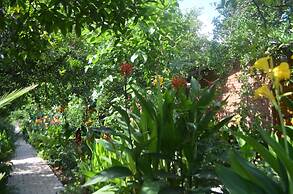 Olympos Mercan Bungalow