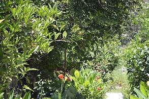 Olympos Mercan Bungalow