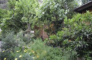 Olympos Mercan Bungalow