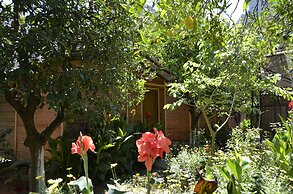 Olympos Mercan Bungalow