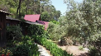 Olympos Mercan Bungalow