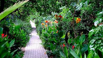 Olympos Mercan Bungalow