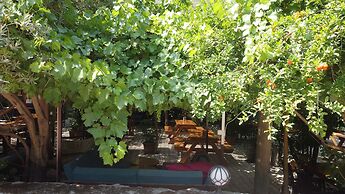 Olympos Mercan Bungalow