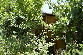 Olympos Mercan Bungalow