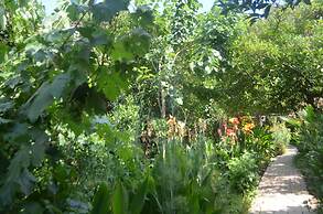 Olympos Mercan Bungalow