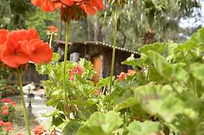 Olympos Mercan Bungalow