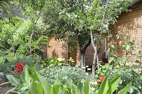 Olympos Mercan Bungalow