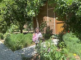 Olympos Mercan Bungalow