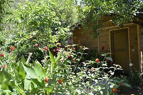 Olympos Mercan Bungalow