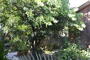 Olympos Mercan Bungalow