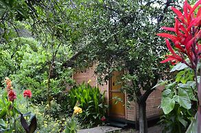 Olympos Mercan Bungalow