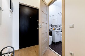 RentalSPb Moscow-SPb