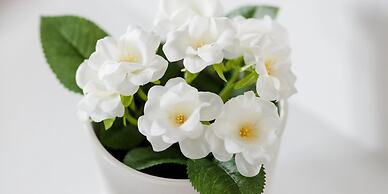 UPSTREET Minimal 2BD Apt-Lycabettus view