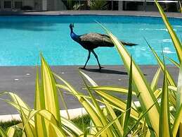 Sun View Beach Resort