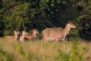 The Rangers reserve Jim Corbett