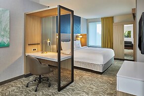SpringHill Suites by Marriott Charlotte at Carowinds