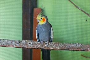 Pousada Campo Alegre