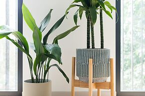 Hausd - Oxford Street