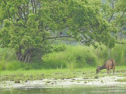 Cat Tien Farmer Lodge