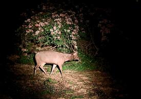 Cat Tien Farmer Lodge