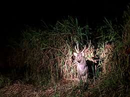 Cat Tien Farmer Lodge