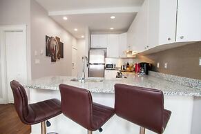 Luxury Back Bay Downtown Boston NEW Condo