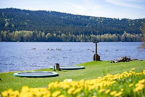 Amenity Hotel & Resort Lipno