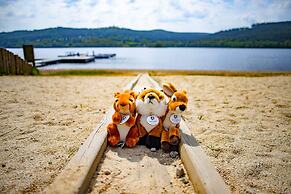 Amenity Hotel & Resort Lipno