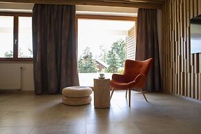 Amenity Hotel & Resort Lipno