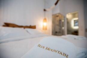 Blue Mountain Guesthouse Arachova